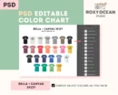 Editable Bella Canvas 3413Y Color + Size Chart