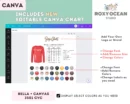 Editable Bella Canvas 3501 CVC Size + Color Chart