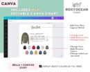 Editable Bella Canvas 3719Y Size + Color Chart