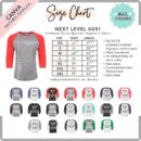 Editable Next Level 6051 Size + Color Chart