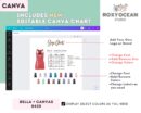 Editable Bella Canvas 8430 Size + Color Chart