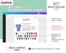 Editable Bella Canvas 8816 Size + Color Chart